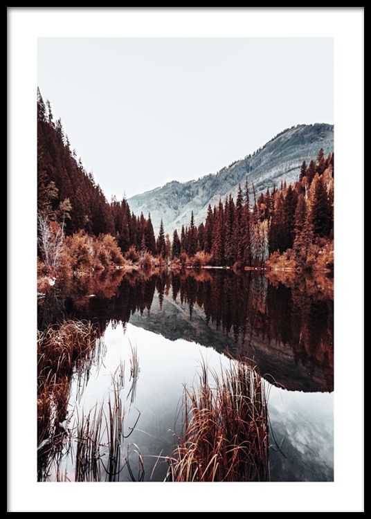 Autumn Lake Poster / Naturmotive bei Desenio AB (11584)