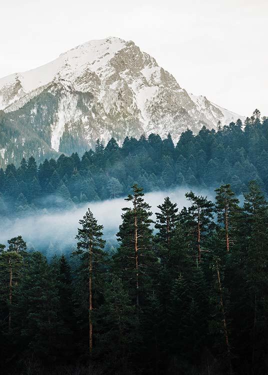 Mountain and Forest Poster / Naturmotive bei Desenio AB (11634)