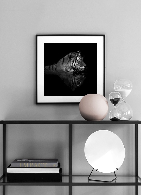 Tiger in Water Poster / Fotografien bei Desenio AB (11688)
