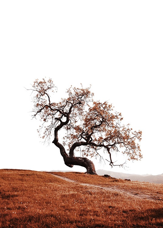 Tree on Hill Poster / Naturmotive bei Desenio AB (11869)