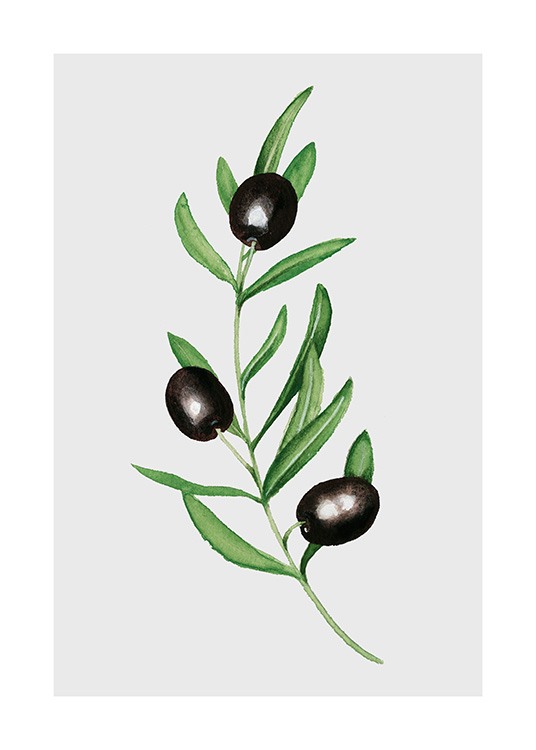 Olives Poster / Küchenposter bei Desenio AB (11960)