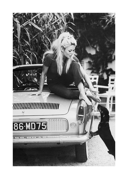  – Schwarz-weiß-Fotografie von Brigitte Bardot, die sich von einem Auto aus mit einem kleinen Hund beschäftigt
