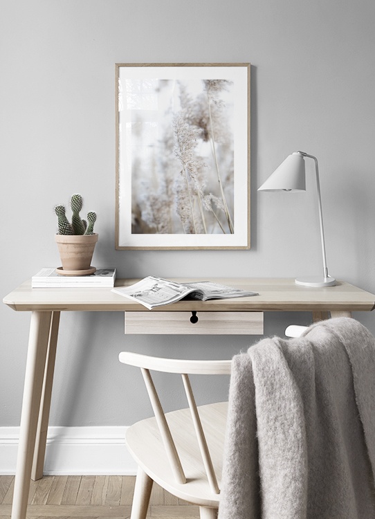  – Fotografie von Schilf in Beige mit einem Halm im Fokus und verschwommenem Hintergrund