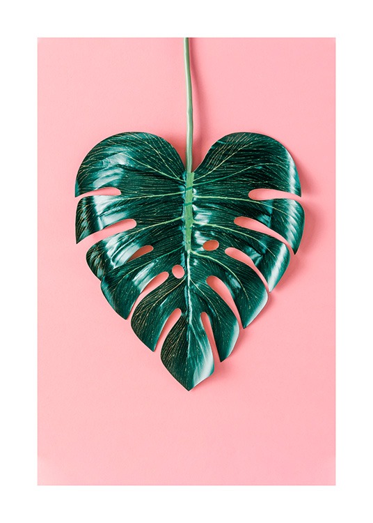 Heart-Shaped Monstera Affiche
