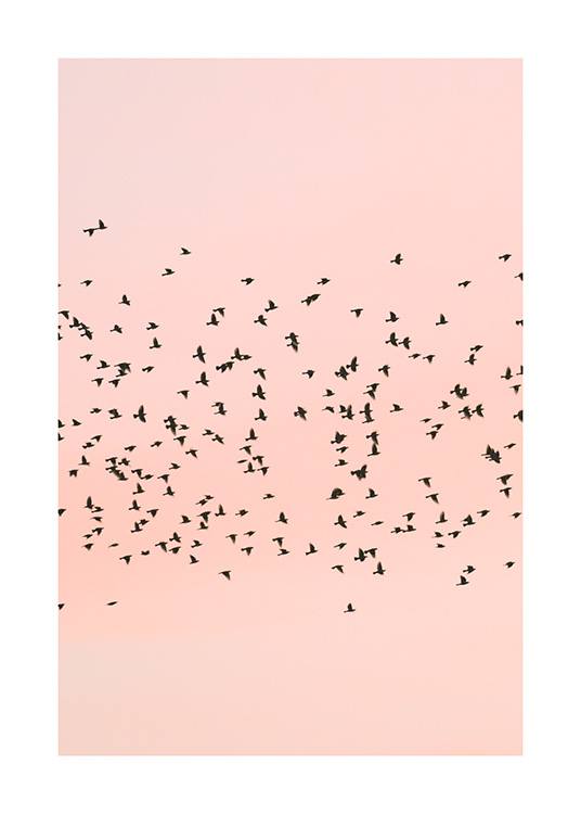 Pink Sunset Birds Poster / Natura presso Desenio AB (12601)