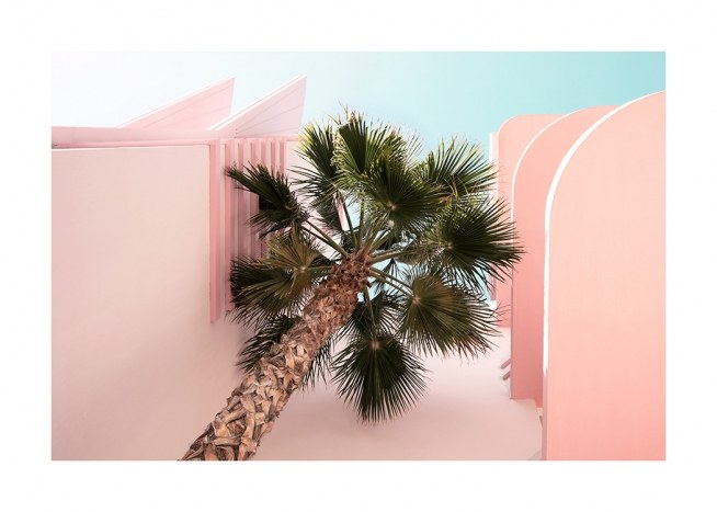 Palm from Beneath Affiche