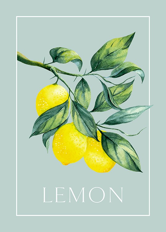 Vintage Lemons Affiche