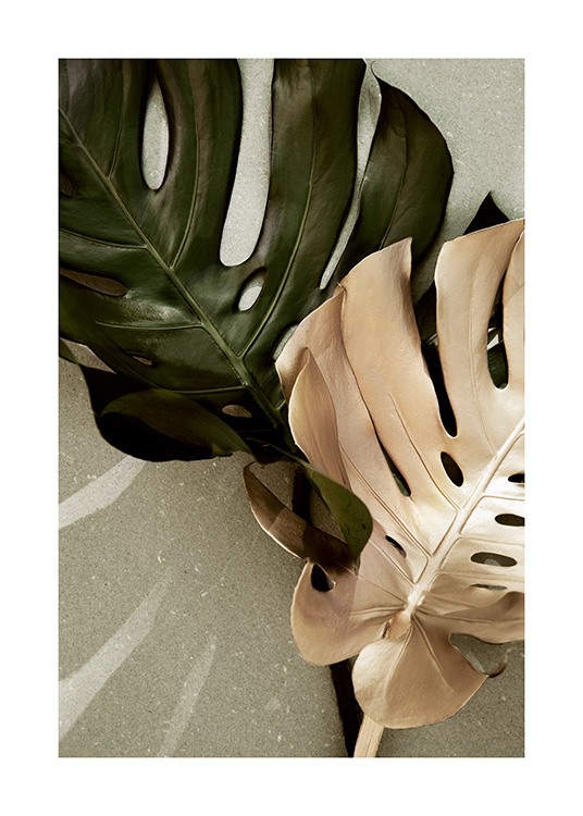 Golden Monstera Affiche
