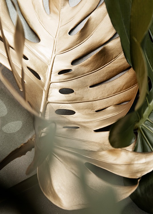 Golden Monstera leaves Affiche