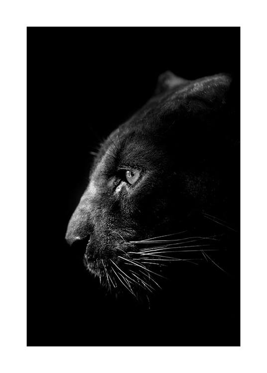 Panther B&W Poster