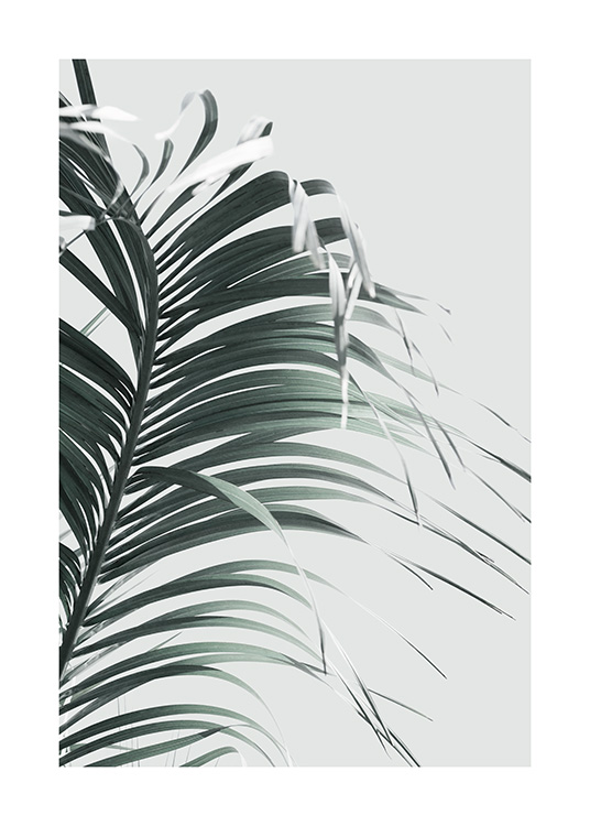 French Palm Leaf Poster