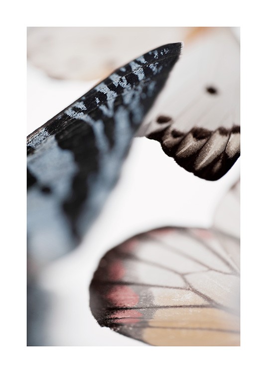 Butterfly Wings Affiche