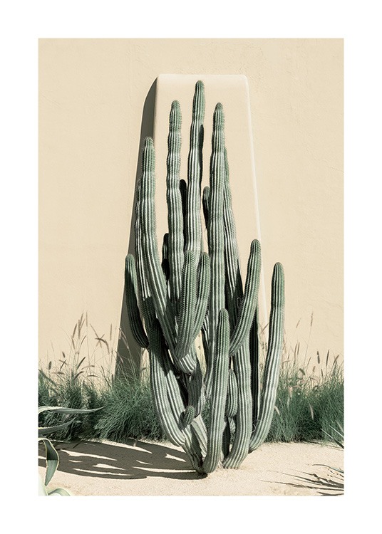 Beige Cactus Affiche