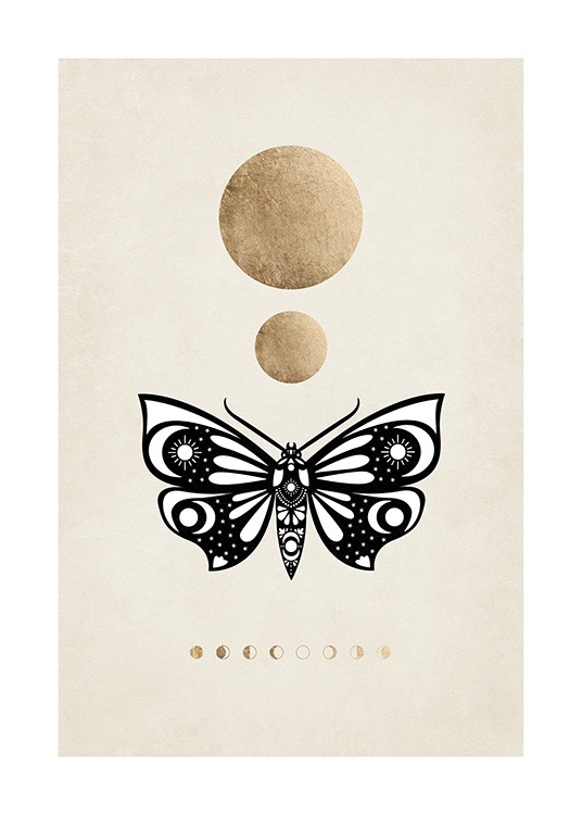 Moon Phases Moth Affiche