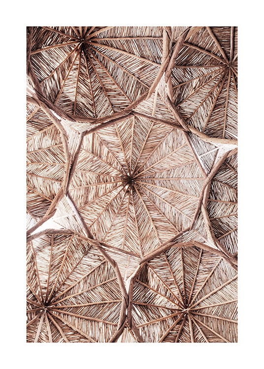 Organic Roof Pattern Affiche