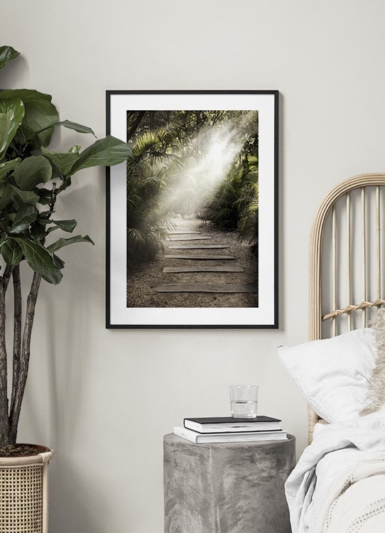  – Photographie de feuilles de palmier entourant un sentier en plein soleil