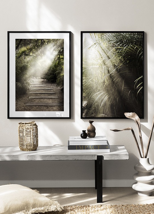  – Fotografie von Palmblättern, die einen Weg im Sonnenlicht säumen