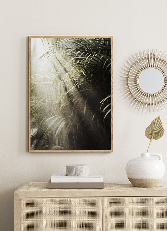  – Fotografia di foglie di palma verdi illuminate da raggi di sole
