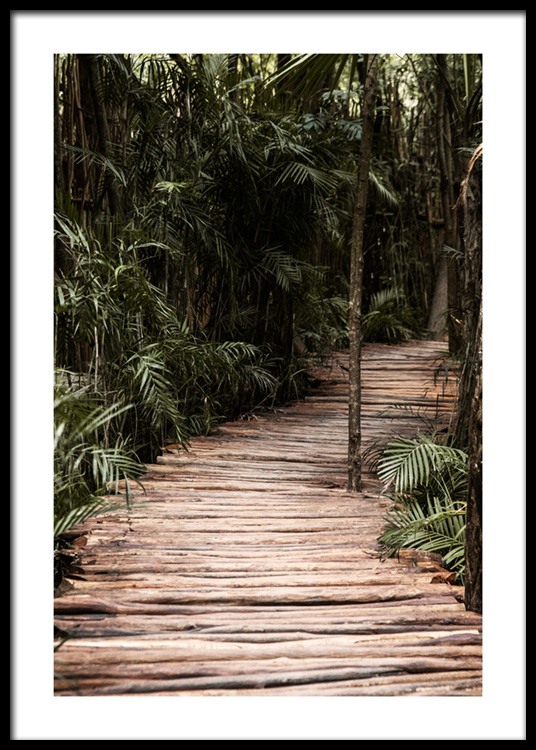  – Fotografie eines Dschungels mit Palmen, die einen Weg aus Holz säumen