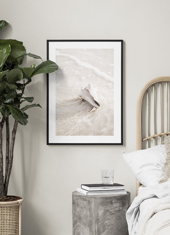  – Photographie d’un coquillage beige clair dans l’eau et le sable