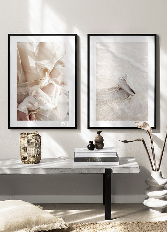  – Photographie d’un coquillage beige clair dans l’eau et le sable