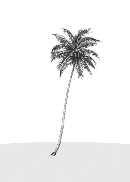 Lonely Palm Tree Poster