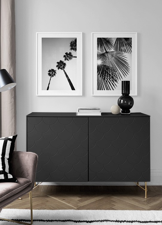  – Fotografia in bianco e nero di raggi di sole che filtrano attraverso foglie di palma