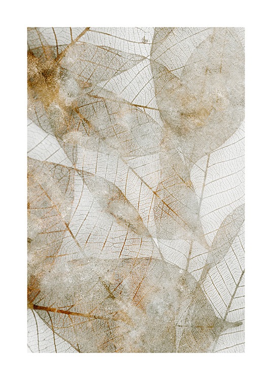 Abstract Botanical No2 Poster