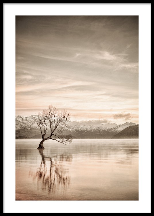  – Fotografia di un lago immobile con un albero in mezzo e montagne sullo sfondo