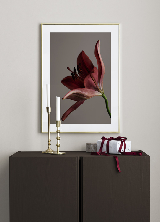  – Fotografie mit der Nahaufnahme einer Blume in Rot auf einem braunen Hintergrund