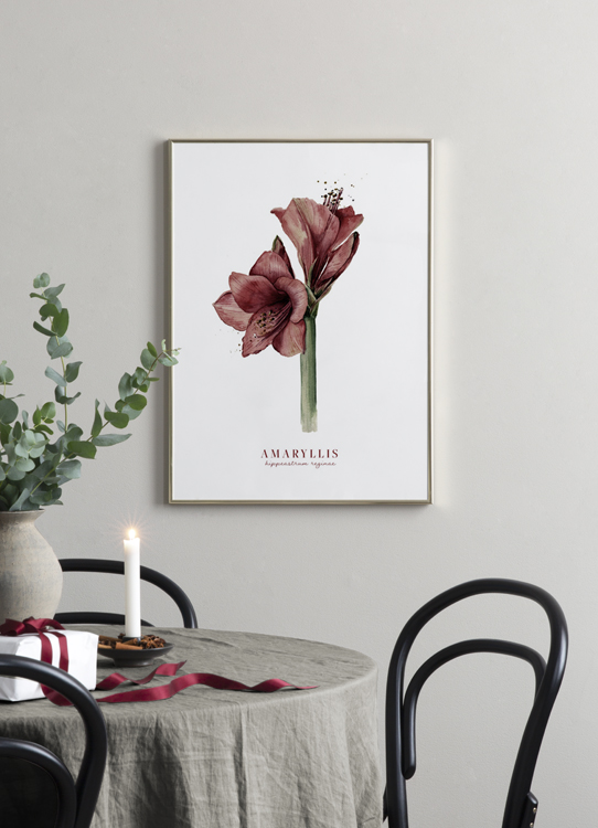  – Peinture à l’aquarelle d’un amaryllis rouge sur un fond blanc