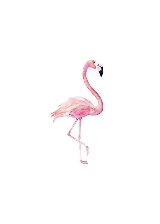 Flamingo Aquarelle  Poster