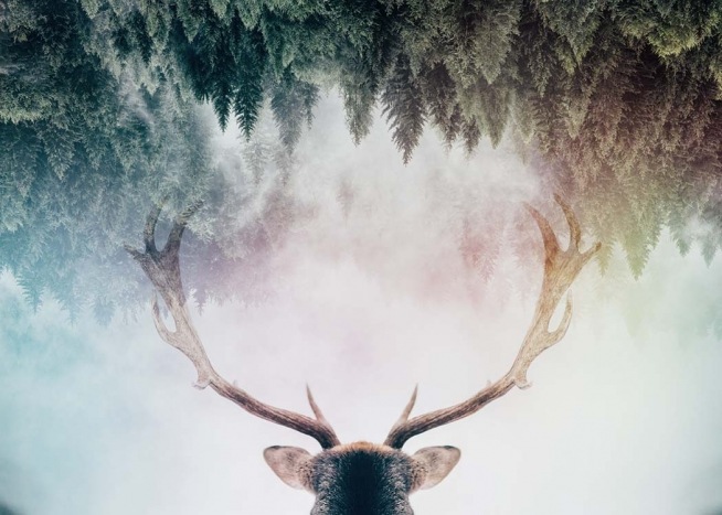 Antler Poster