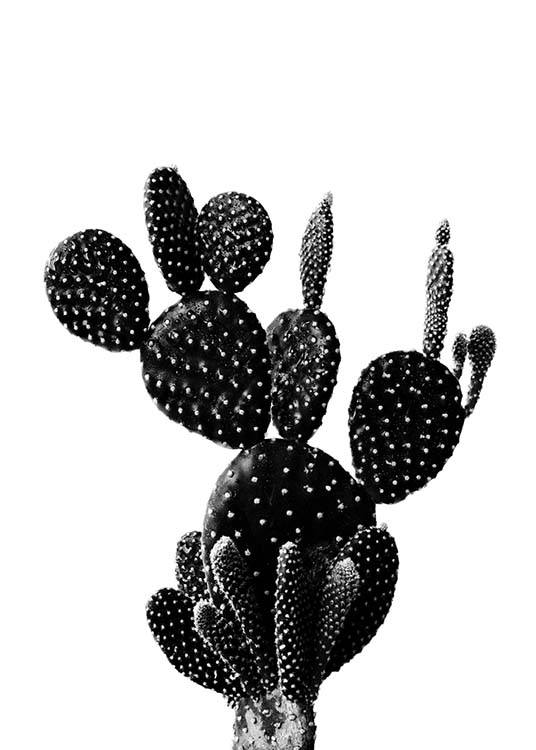 Black Cactus One Affiche