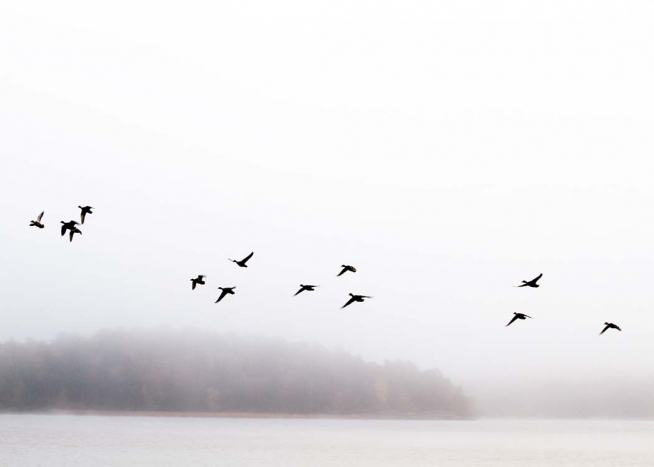 Birds Over Lake Affiche