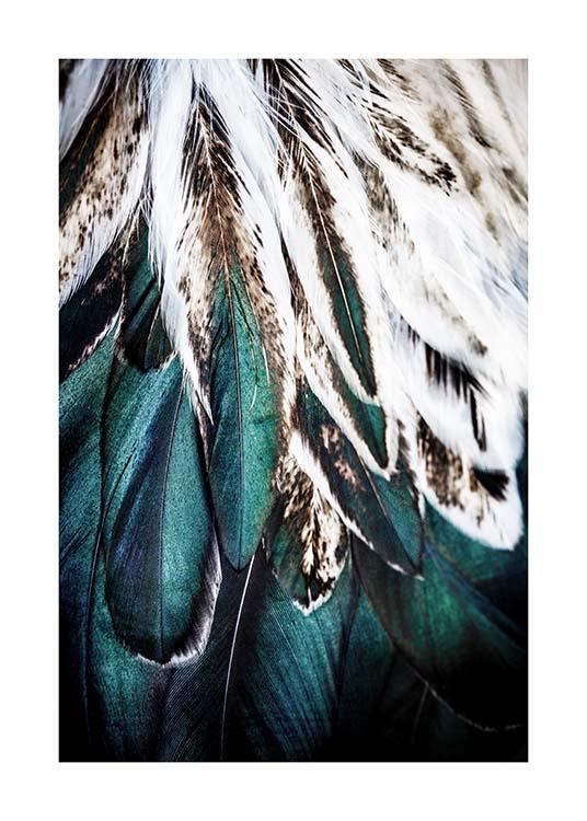 Green Feathers Affiche