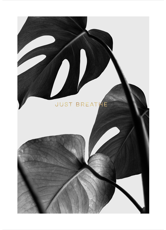 Remember To Breathe Affiche