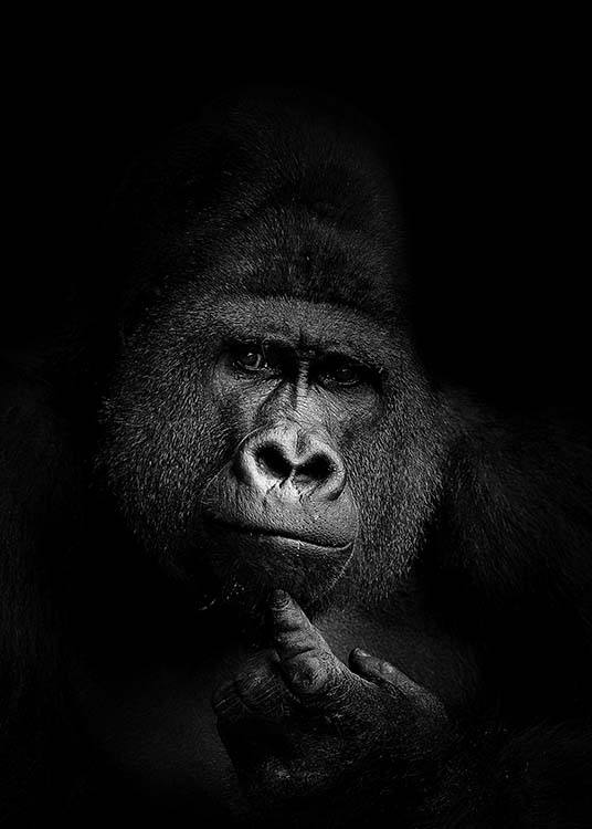 Gorilla B&W Poster