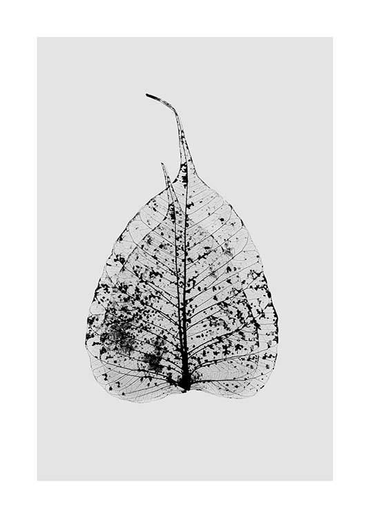 Leaf Skeleton Poster