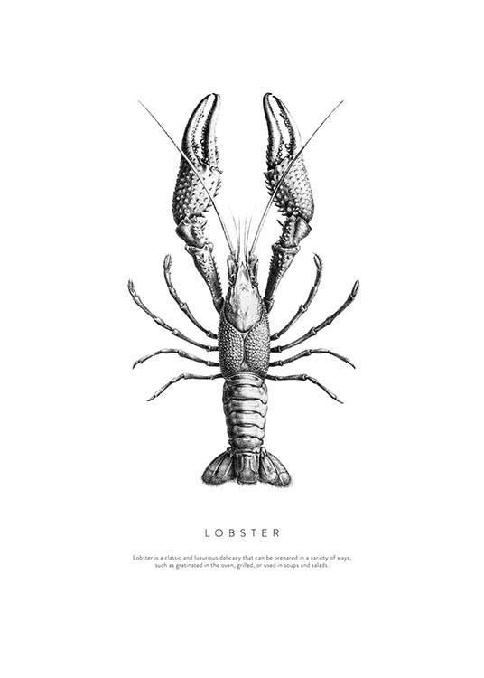 Lobster No1 Affiche