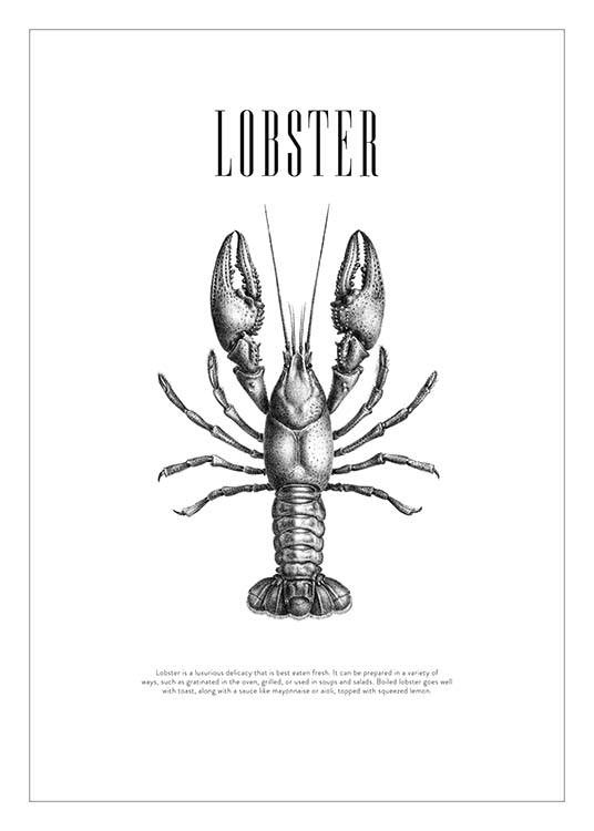 Lobster No2 Affiche
