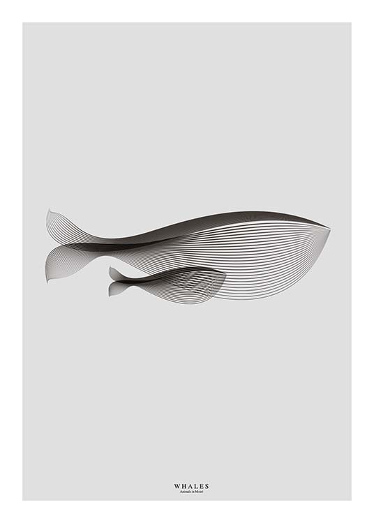 Whales In Moiré Affiche