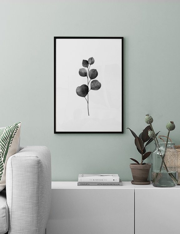 Eucalyptus B&W (21x30)