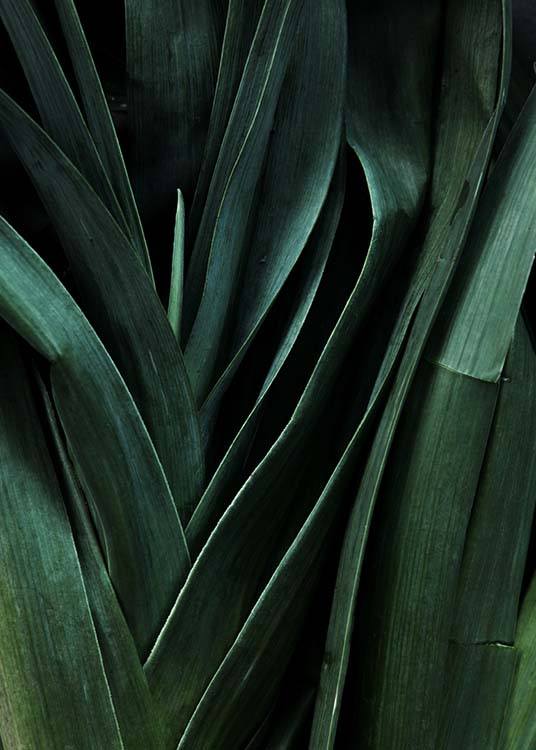 Leek Close Up Affiche