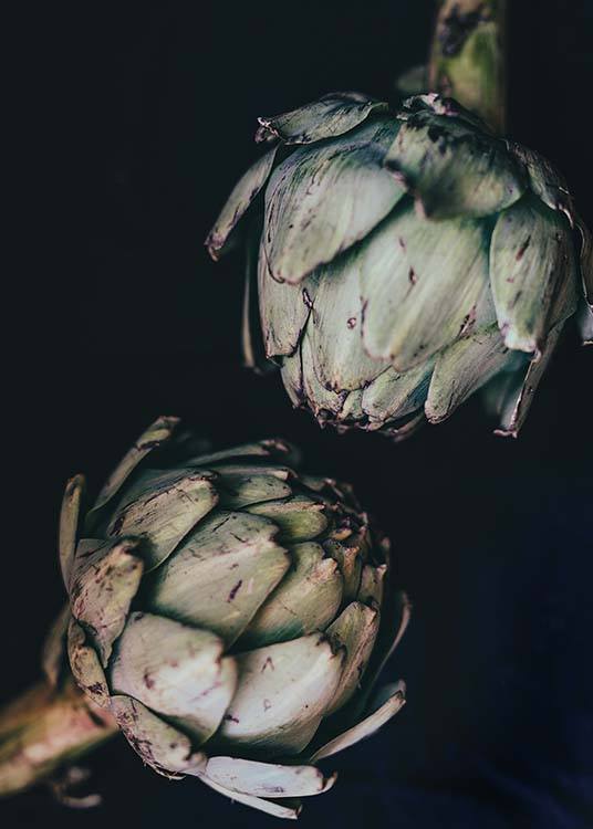 Artichokes Affiche