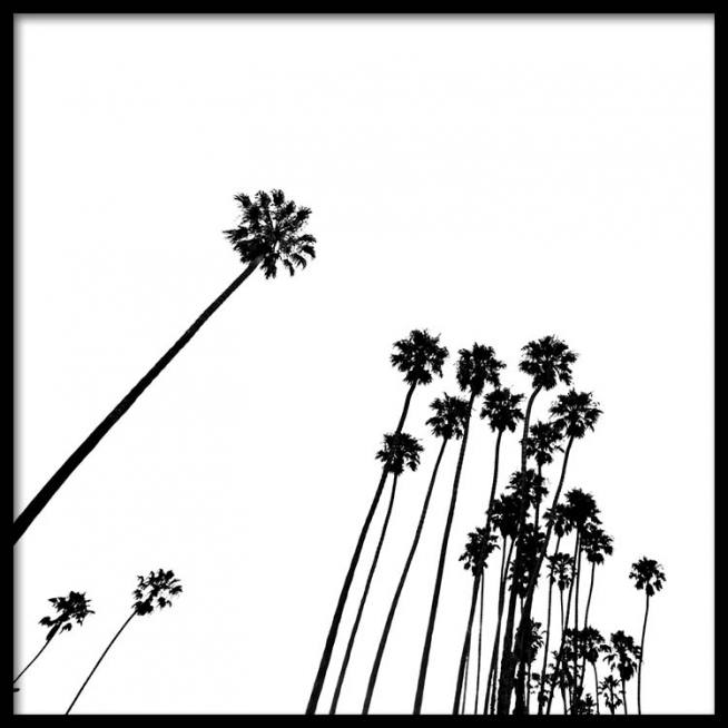 Venice Beach Palm Trees No2 Affiche / Noir et blanc chez Desenio AB (3777)