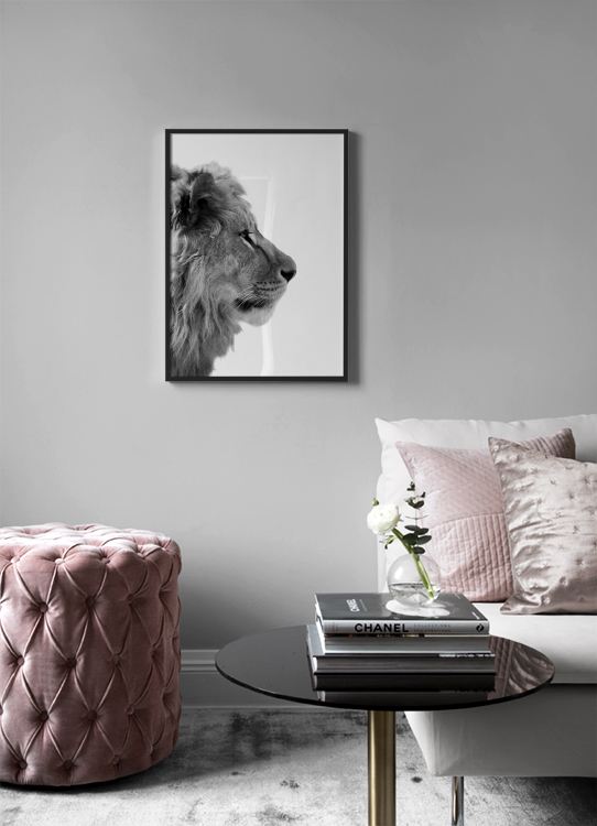  – Photographie en noir et blanc d'un lion de profil