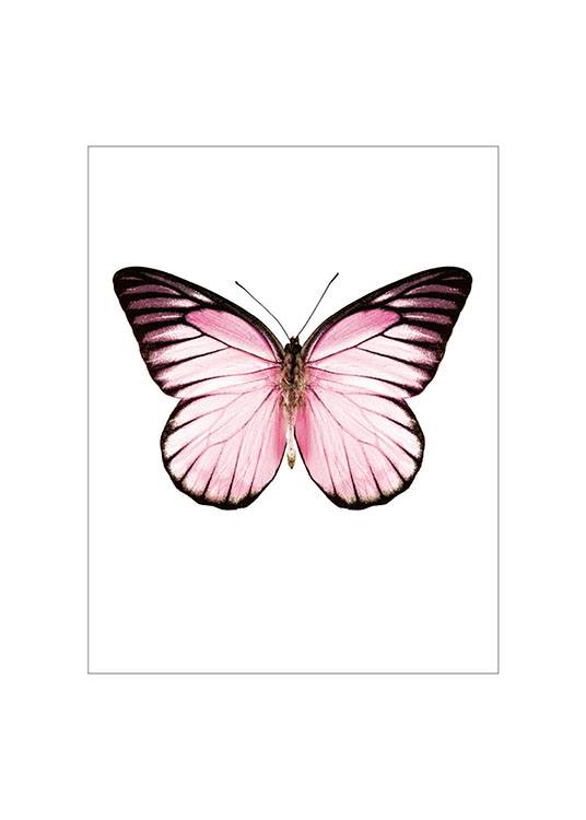 Pink Butterfly, Petit Poster 