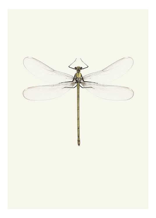 Vintage Dragonfly, Affiche 
