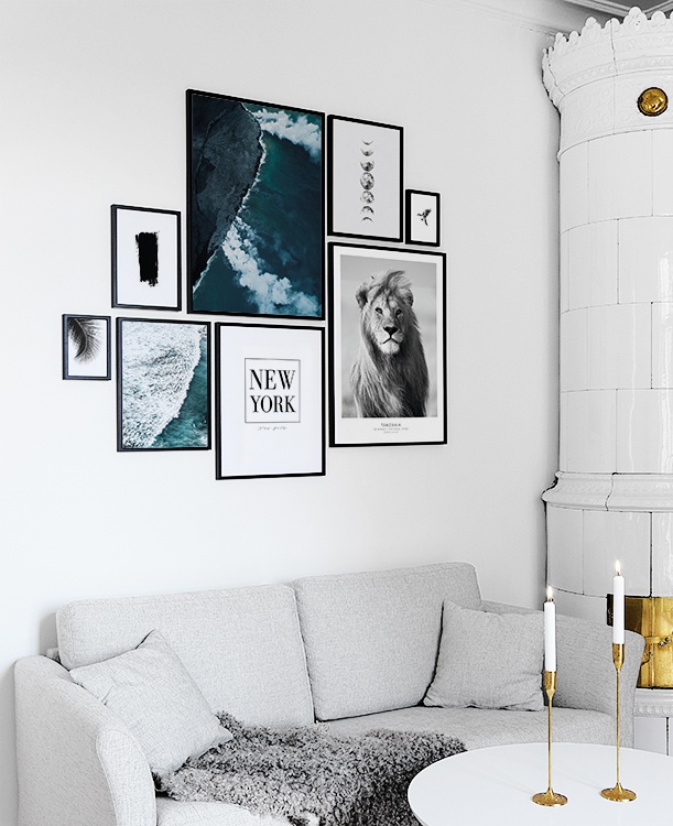  – Primo piano in bianco e nero di un leone